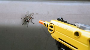 Bug-A-Salt Review: The Urban Hunter's Dream? (Updated for 2025)