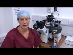 ICSI Intra Cytoplasmic Sperm Injection