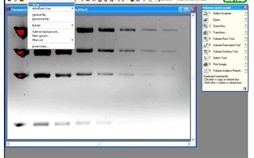 Quantity One Software Tutorial by Bio-Rad Laboratories