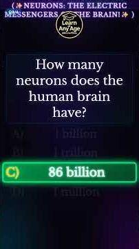 s2 NEURONS THE ELECTRIC MESSENGERS OF THE BRAIN!