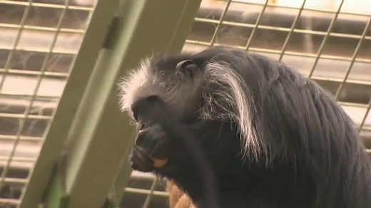 《Oxford Discover》1-6册全套视频 PDF教材 音频 配套语法书（牛津大学金奖教材）