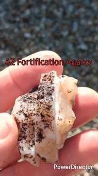 Sweet White AZ Fortification Agate