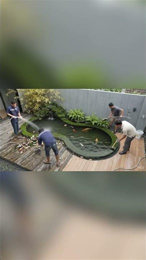 Satisfying Koi Pond Makeover: Dirty to Clean Transformation! #shorts