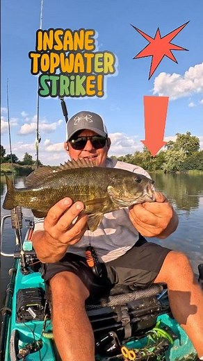 MASSIVE TOPWATER STRIKE! 🤯 River Monster vs. Whopper Plopper
