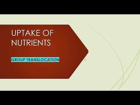 UPTAKE OF NUTRIENTS II GROUP TRANSLOCATION II Part 3 II MicroBiology