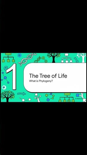 Phylogeny Explained #shorts #shortvideo #phylogeny #bioinformatics #phylogenetictree