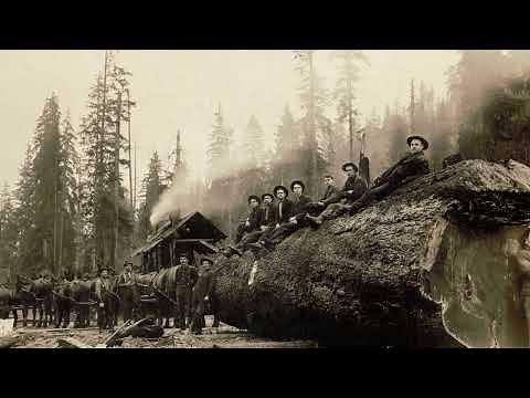 Day In The Life Of A 1900s Logger: What Was It Like?