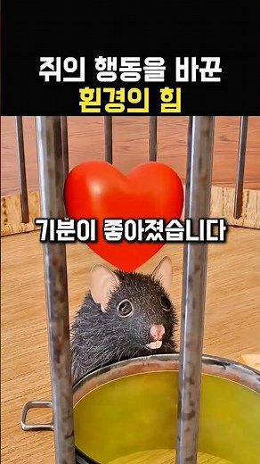 쥐의 선택 실험, 환경의 중요성