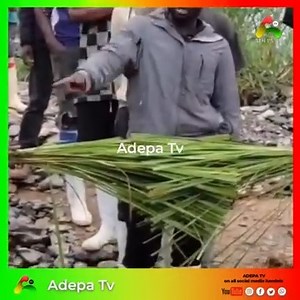 676K views · 8K reactions | African Juju never disappoints 藍藍藍simple way to catch thief in Africa | Adepa Tv | Facebook