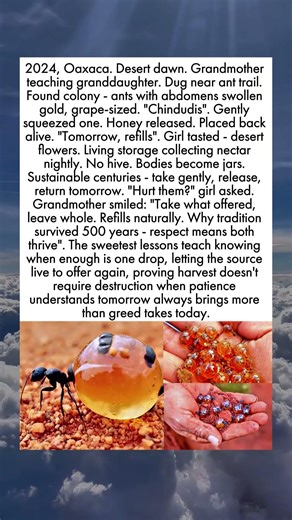 Living Honey Jars That Walk Away