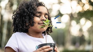 Plano de Aula sobre o Meio Ambiente - 1º ano do Ensino Fundamental