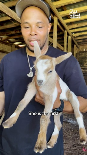 From 2 chickens to over 60 rescue animals. Blackyard Chickenz is more than a petting zoo! BlackYard Chickenz Reec Swiney | The Pet Collective