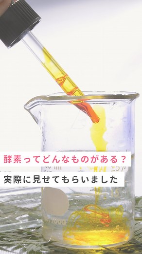 JCLA/日本化粧品検定協会 Official on Instagram: "酵素の種類！ サティス製薬さんにご協力いただき、実際にどんな酵素があるのか見せてもらいました✨ @saticine_cosme_oem #日本化粧品検定 #化粧品検定 #美容 #日本化粧品検定1級 #日本化粧品検定2級 #日本化粧品検定3級 #日本化粧品検定協会 #酵素 #実験"