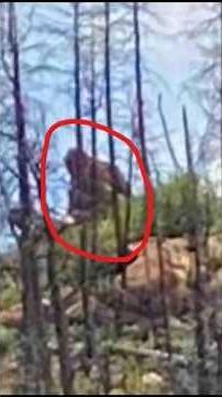 Red Feather Bigfoot-like Creature in Colorado #bigfoot #rockymountains