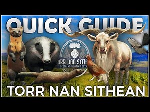 SCOTLAND QUICK GUIDE - How to Hunt All 17 Species in Torr Nan Sithean!!!