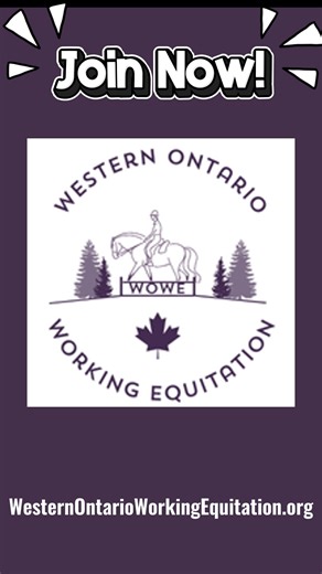 1K views | We’re building something special in the Western Ontario Working Equitation community—and we’d love for you to be part of it. Join for the 2026 season and enjoy the balance of 2025 at no extra cost, access to events, and eligibility for year-end awards. Visit our Website on how to join! https://westernontarioworkingequitation.org/ Let’s grow this incredible sport together! | Western Ontario Working Equitation | Facebook