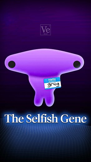 Why Does Poop Smell Bad? The Science Explained