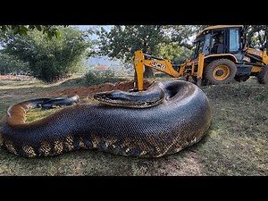 Watch JCB machine perform heavy duty digging work with full power and precision