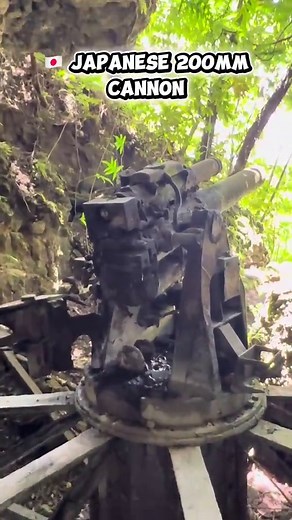 WWII Bloody Nose Ridge Peleliu: Japanese Canon Combat