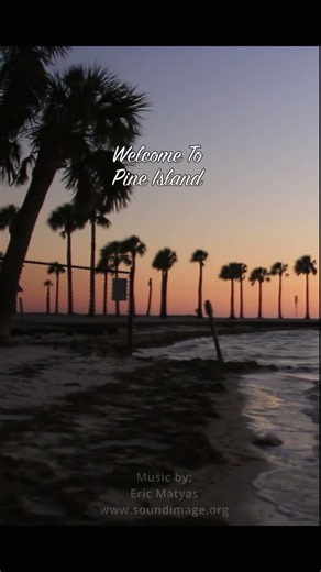 POV You Visit Pine Island