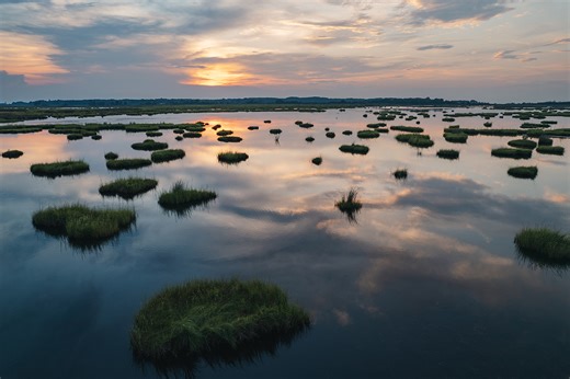 Art Meets Science: A Webinar Series for Creative Collaboration | Maryland Sea Grant