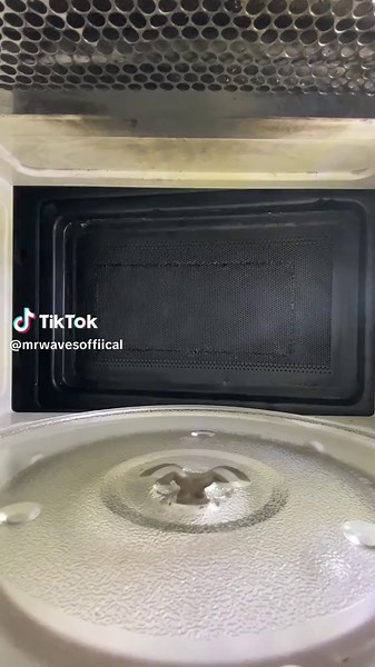 Science Experiment: Microwaving Cat Toys