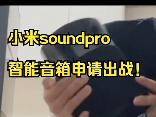 小米（MI）Xiaomi Sound Pro高保真智能音箱 智能低音炮音箱 无损音乐