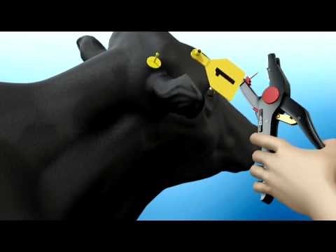 The New Z2 No-Tear Tagging System