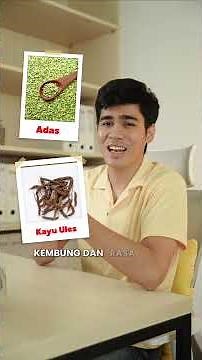 Khasiat dan Manfaat Kandungan Utama Tolak Angin!