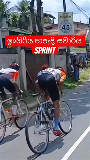 ඉංගිරිය සවාරියේ Sprint #cycling