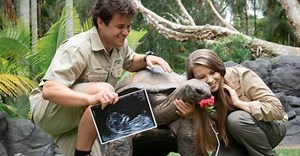Bindi Irwin Finally Announces The Gender Of Her Baby