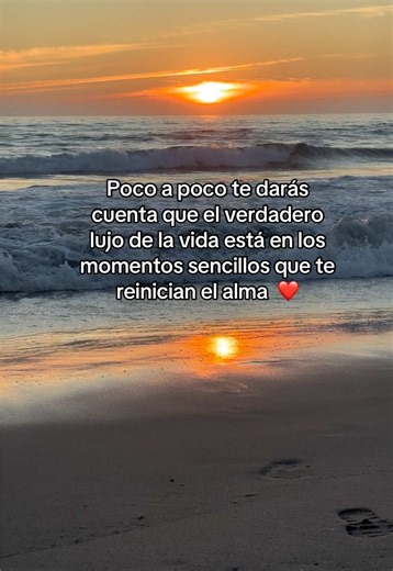 El Lujo de la Vida en Momentos Sencillos