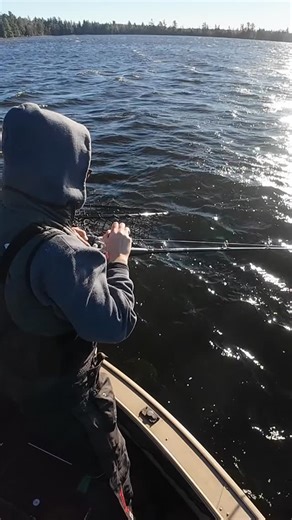 @heidi_jarnigo sticks a nice fall musky using a @chaostackle 8’ Heavy Livebait/trolling Rod! Always stressful fighting fish in the big wind! . . . #musky #muskyfishing #muskiefishing #muskie #fishing | Todays Angler