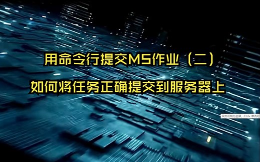 用命令行提交MS作业（二）