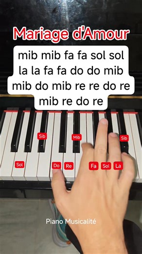 1.5M views · 27K reactions | Love this Song #piano #pianotutorial #pianolessons #short #pianomusicalite #mariagedamour | Piano Musicalité | Facebook