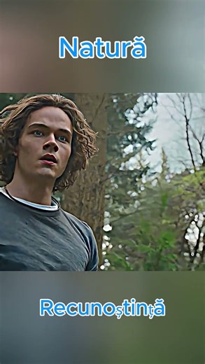 Băiatul și Taurul Bătrân – O Poveste Despre Recunoștință și Răzbunare #Recunoștință #Curaj #Natură