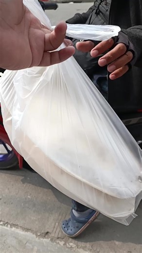 Cuttlebone natural source of calcium for pet birds #petbirds #lovebirds #cockatiel #birds #cuttlebone