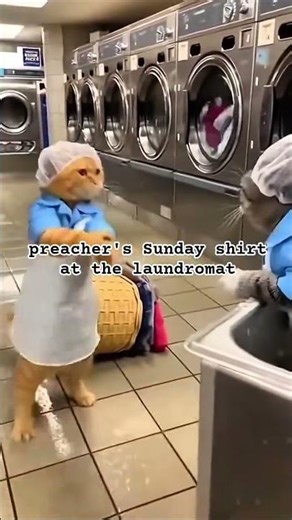 Top Funniest Working Animals #aivideo #entertaininganimals #funny #animals #cute #pets #funnycute