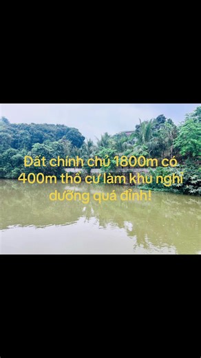 son nguyen trên TikTok