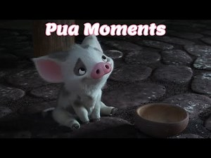 Moana + Moana 2 - Pua Moments