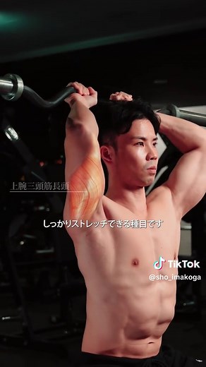 上腕三頭筋の最強種目ティアリスト：筋トレ初心者必見