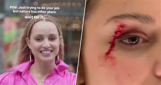 News Reporter Hit in the Face By a Bird Explains What Happened Off Camera