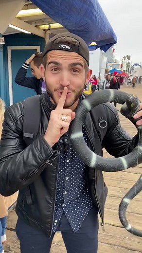 Funny Snake Prank Compilation 2! Hilarious Reactions 😂