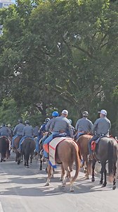 group of people riding horses in lakefront trail Chicago | Photography & Video Digital