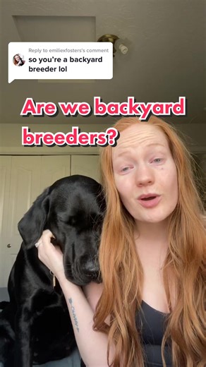 Responsible Dog Breeding: Addressing Backyard Breeder Concerns