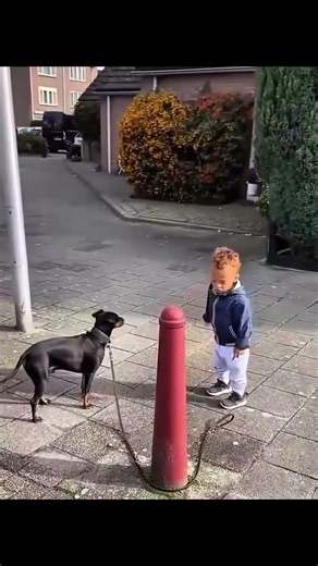 little boy taking his dog out for a walk🐕| By GuideCraze