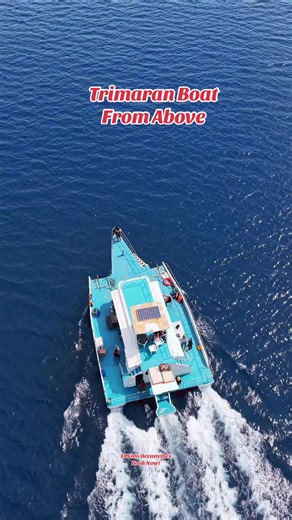 🚤 Book Our Trimaran Boat Adventure Today! 🌴 Experience El Nido like never before aboard our spacious and stable Trimaran Boat — perfect for families, friends, and groups who love comfort and adventure! 🎥 FREE Drone & GoPro Shots – Capture every unforgettable moment from sky to sea. 🍹 FREE Light Snacks – Enjoy refreshing treats while you explore. 🏝️ Visit stunning lagoons, hidden beaches, and crystal-clear waters in style! 📲 Book your Trimaran Boat Tour now with El Nido Oceanvibes — limited