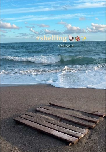 Discover Beautiful Seashells at Velipoja Beach