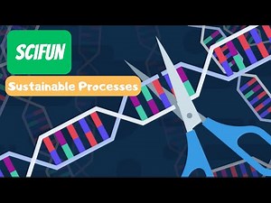 SciFun - Sustainable Processes