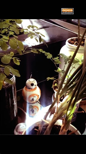 With a droid like bb8, gardening is a breeze. #starwars #droid #bb8 #bb8droid #gardening #filmmaking #animation #toys #storytelling #actionfigures #editing #vídeo #photography | depena productions